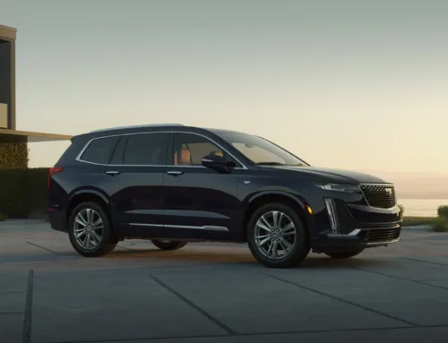 The Rocky View Family Day Survival Guide: Why a Private Shuttle is the Ultimate Parent Hack